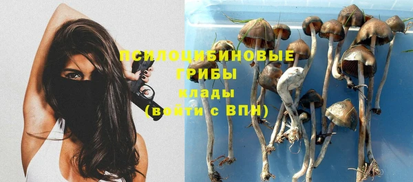 синтетический гашиш Кулебаки