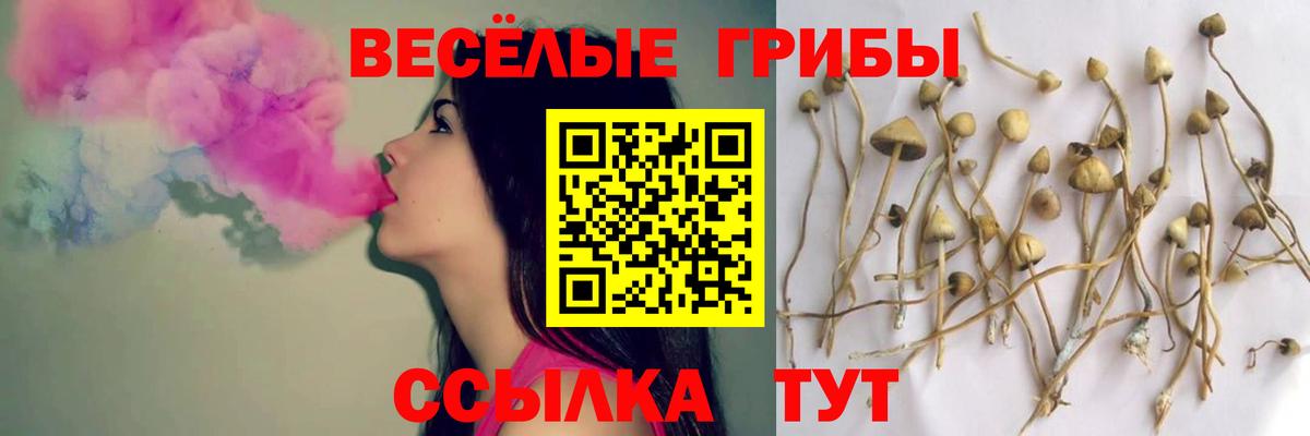 Галлюциногенные грибы мухоморы  Вход с VPN  Ухта 